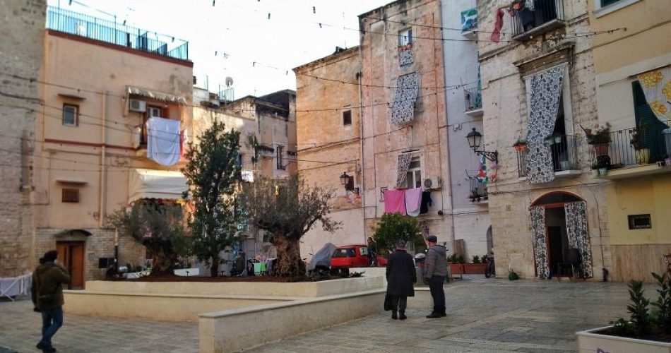 largo albicocca danni