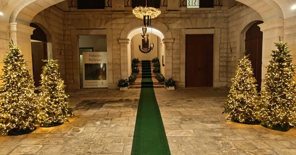 Palazzo delle Arti Beltrani Natale 2025