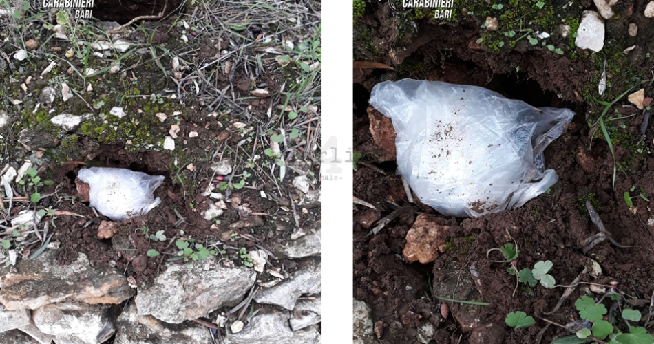 Palo droga nascondiglio