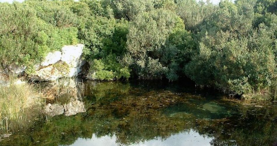 Palude-del-conte-e-Duna-costiera-Porto-Cesareo-le-spunnulate