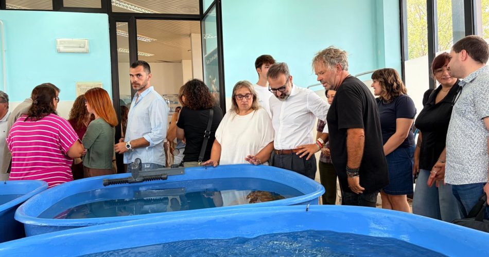Paolicelli Sea Turtle Clinic 1