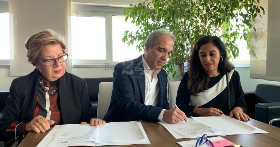 Pisicchio-Cammalleri 1