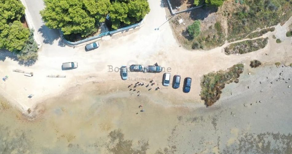 Porto cesareo - legambiente