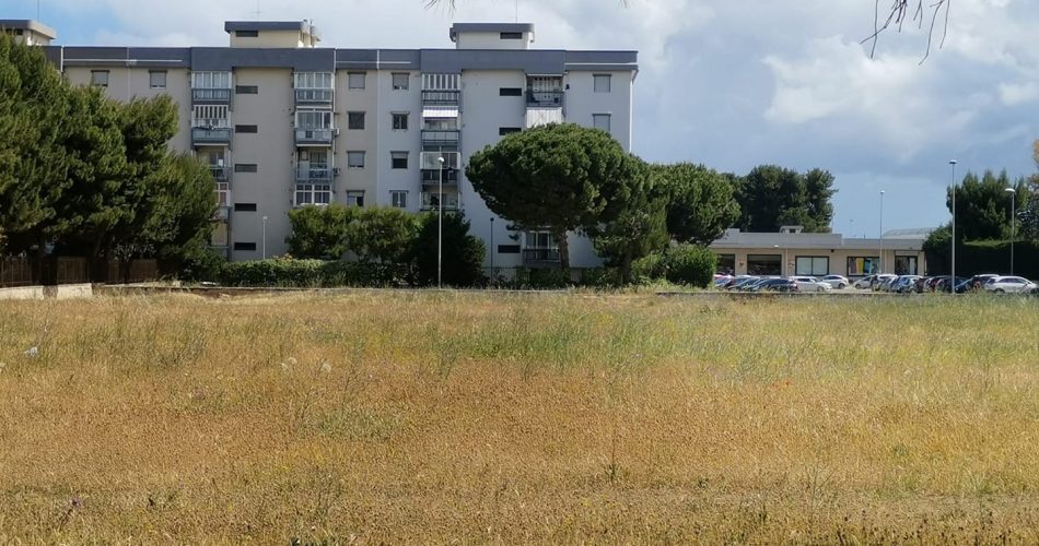 Foto Facebook Decaro