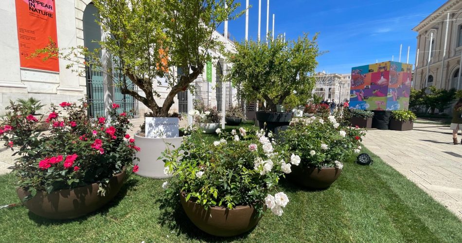 Primavera-Mediterranea-2