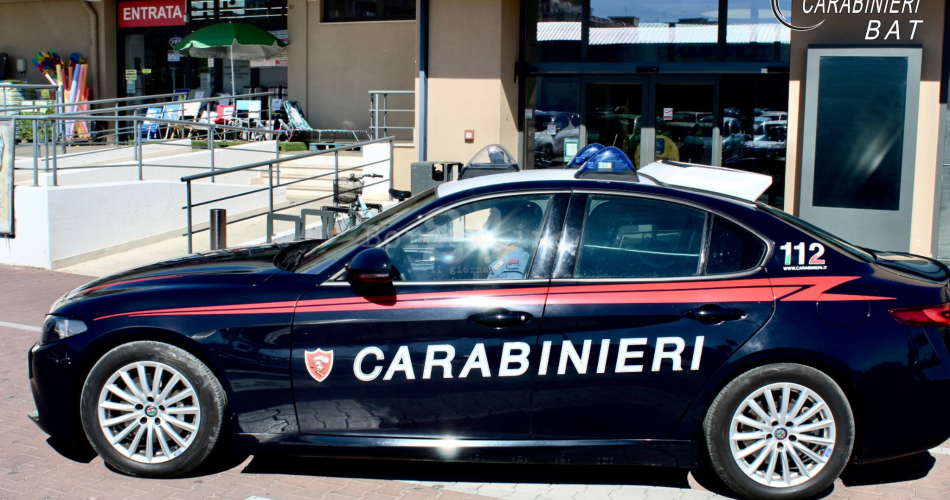 Progetto senza titolo.png