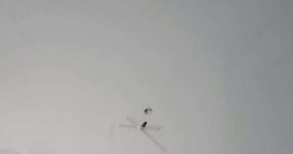 proiettlie sindaco terlizzi