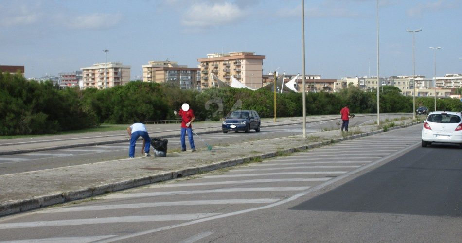 Pulizia sul lungomare Pulizia sul lungomare