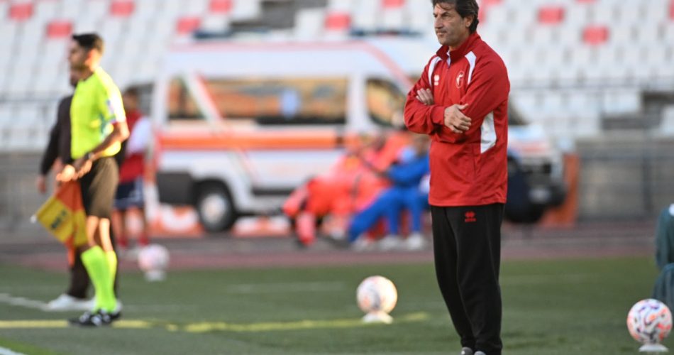 Rastelli