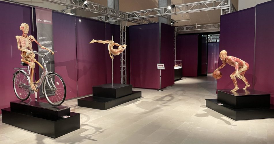 Real-Bodies-Foto-conferenza-2