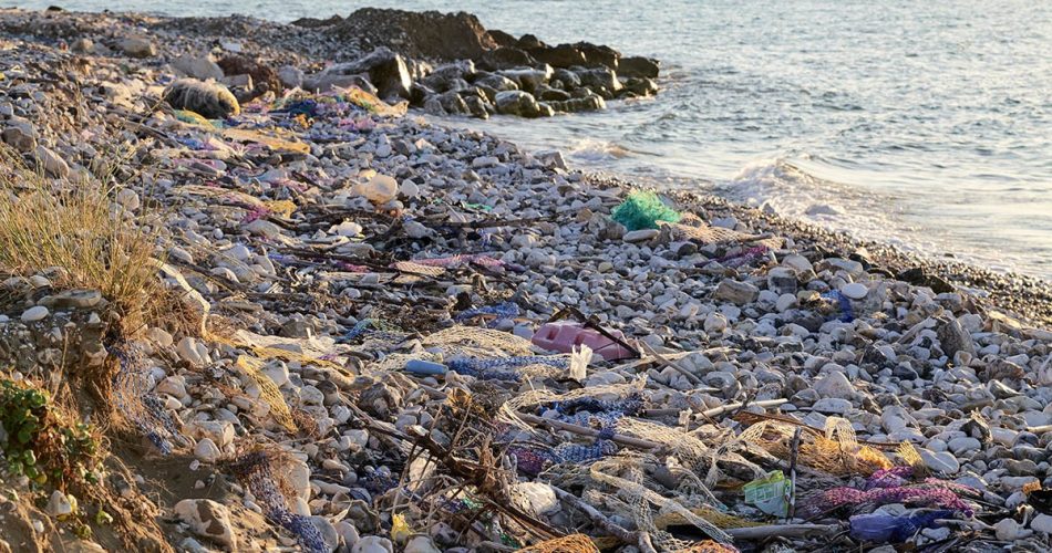 foto greenpeace Puglia