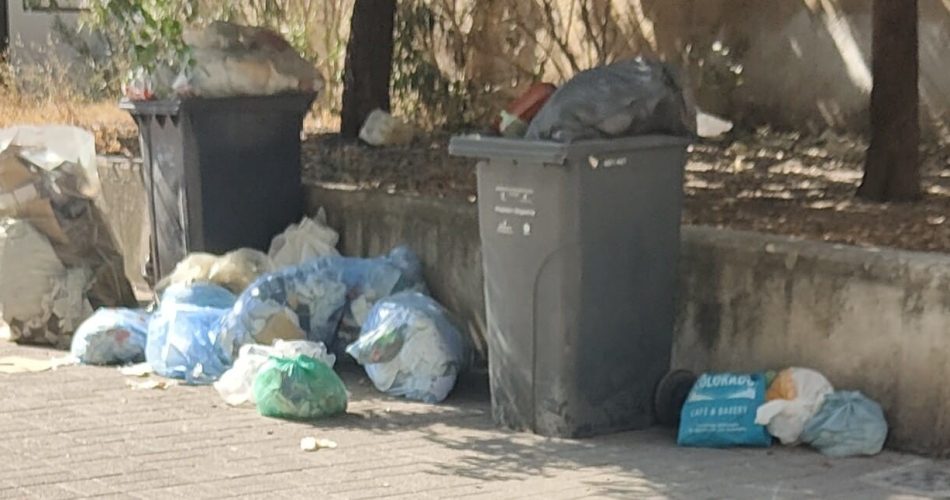 Rifiuti Non Domestici Andria