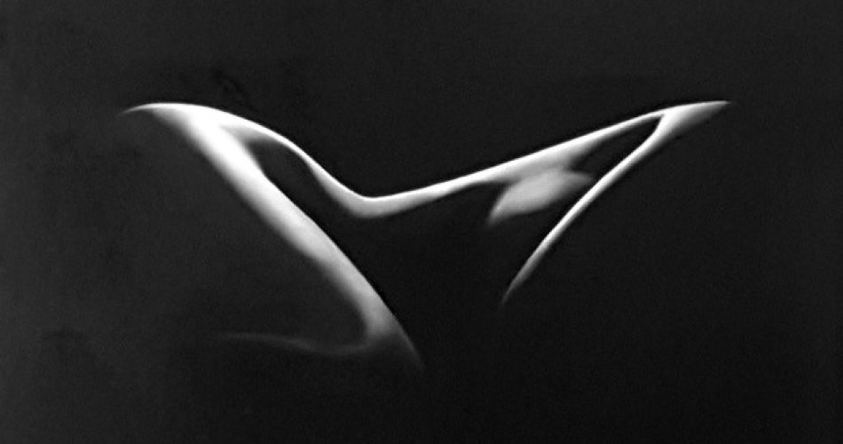 SILENCE olio su tela 80 x 60