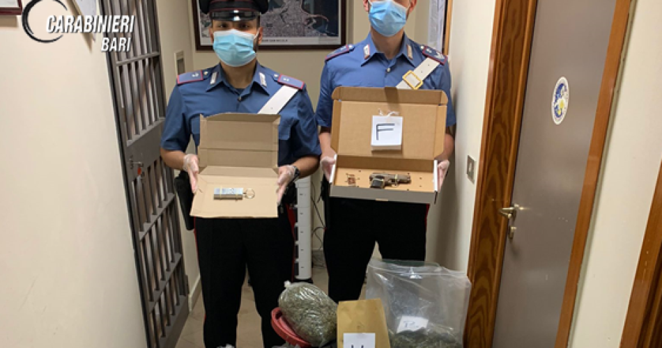 STUPEFACENTE JAPIGIA