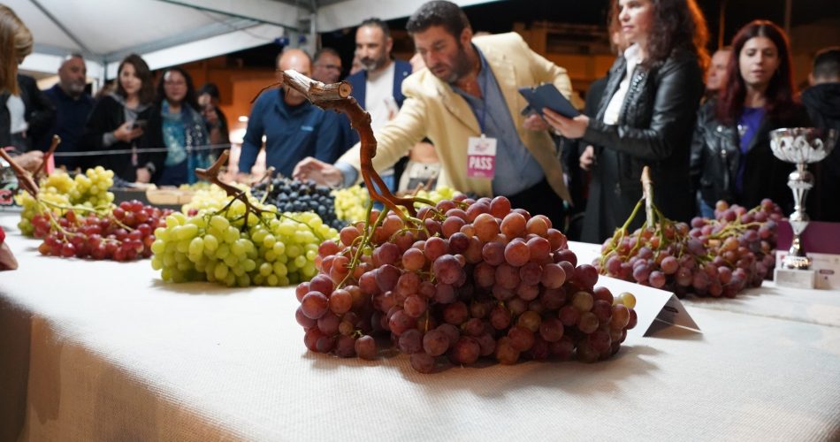 Sagra dell'Uva repertorio