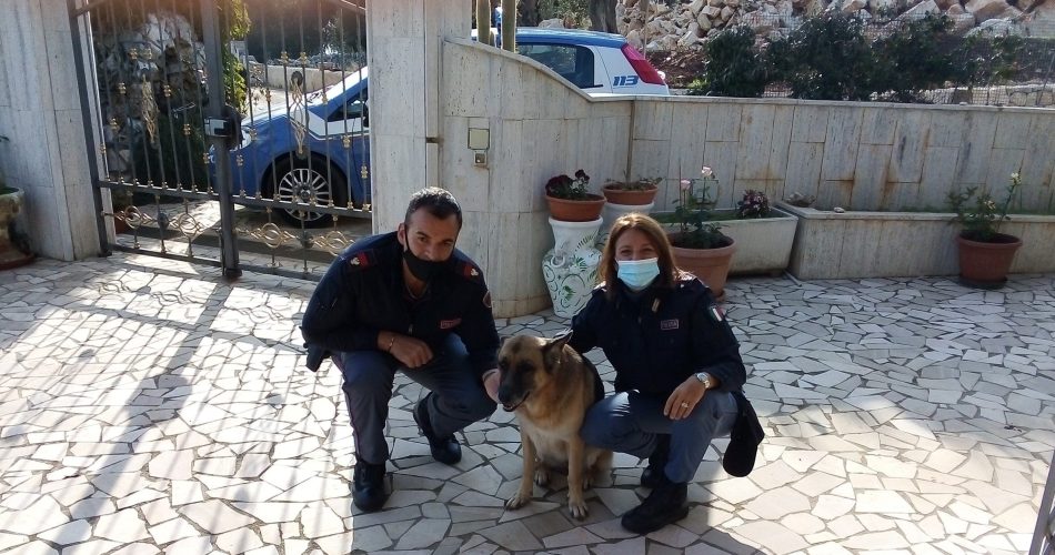 Polizia di stato ritrovamento Sasha