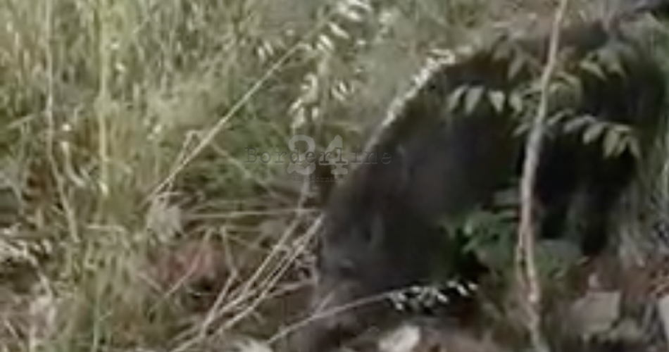 Schermata 2021-05-22 alle 09.24.22