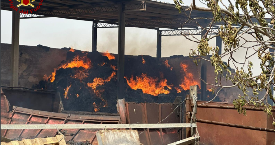 Screenshot 2024-06-20 152701