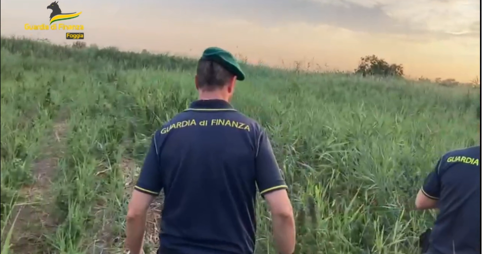 Screenshot 2024-07-02 081537