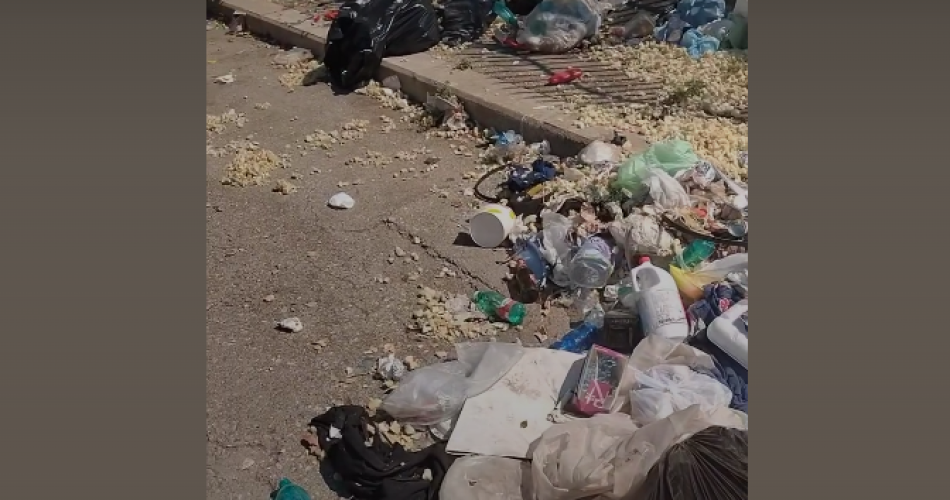 Screenshot 2024-08-23 112833