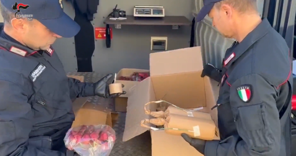 Screenshot 2024-12-31 121254