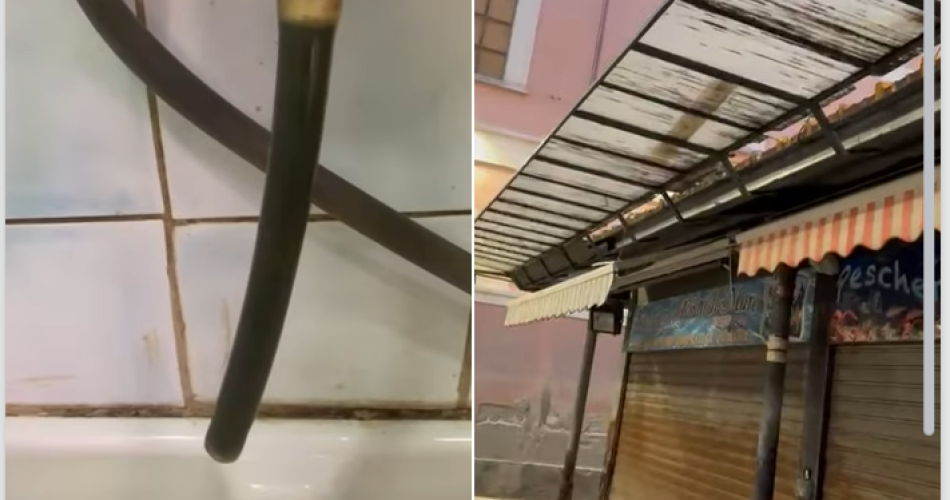 Screenshot 2025-03-04 084709