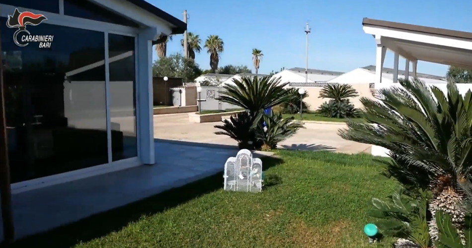 Screenshot 2025-05-06 090501