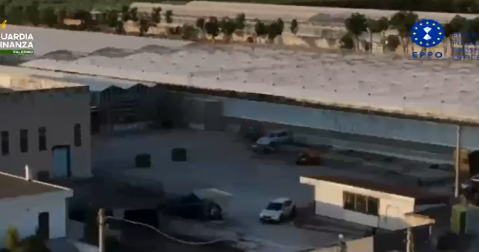 Screenshot 2025-07-28 083305