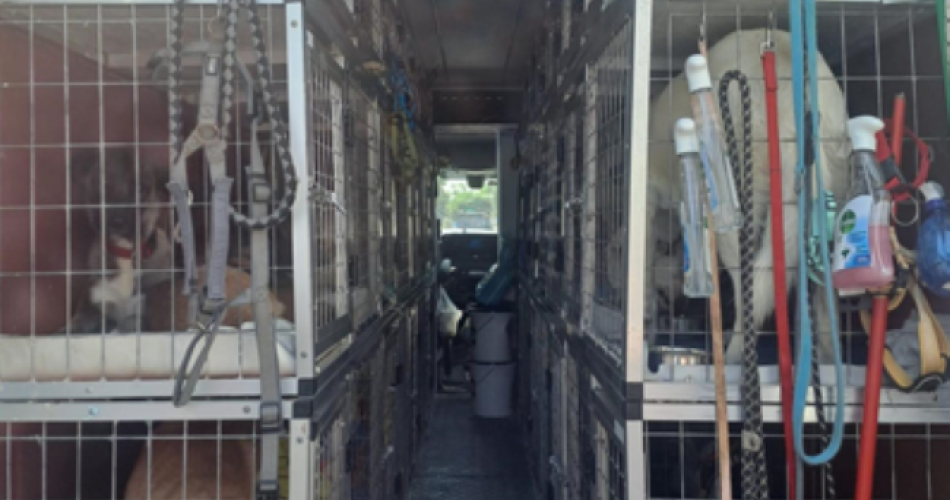 Screenshot 2025-09-20 110107