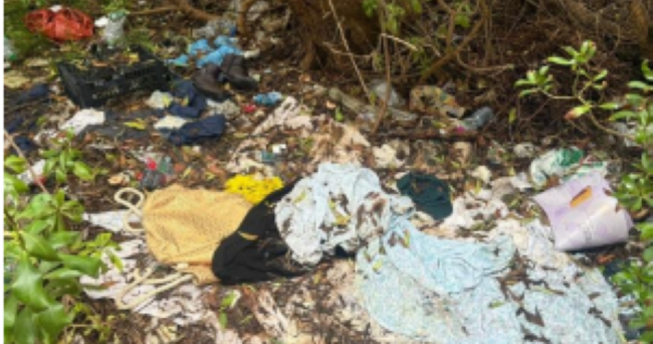 Screenshot 2025-11-20 114833