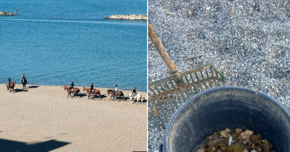 Screenshot 2025-12-31 122844