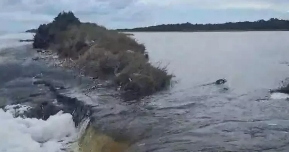 Screenshot 2026-02-21 133407