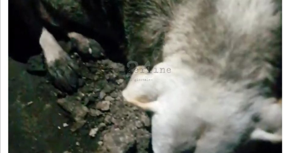 Screenshot_20190827_090743