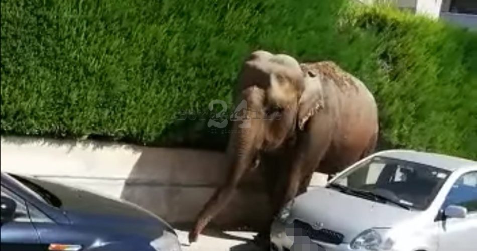 Screenshot_20190927_182025