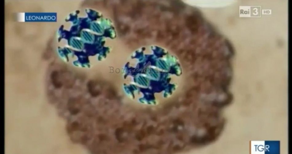 leonardo coronavirus