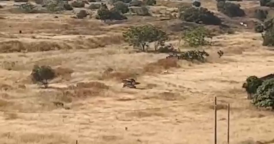 Screenshot_2022-06-02-14-24-59-241_com.facebook.katana_1