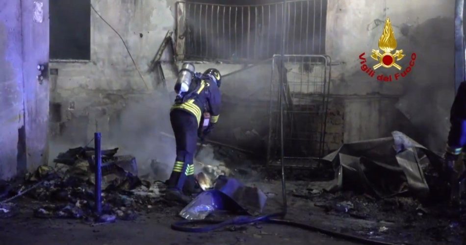 Screenshot_20231209_071811_X