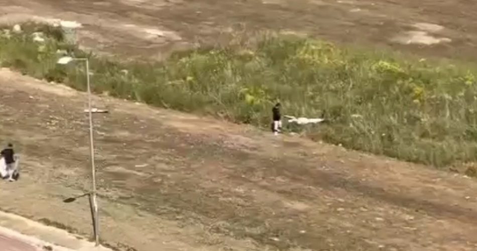 Screenshot_20240501_113655_Gallery