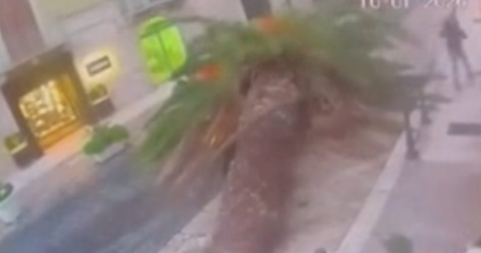 Screenshot_20260111_091339_Facebook