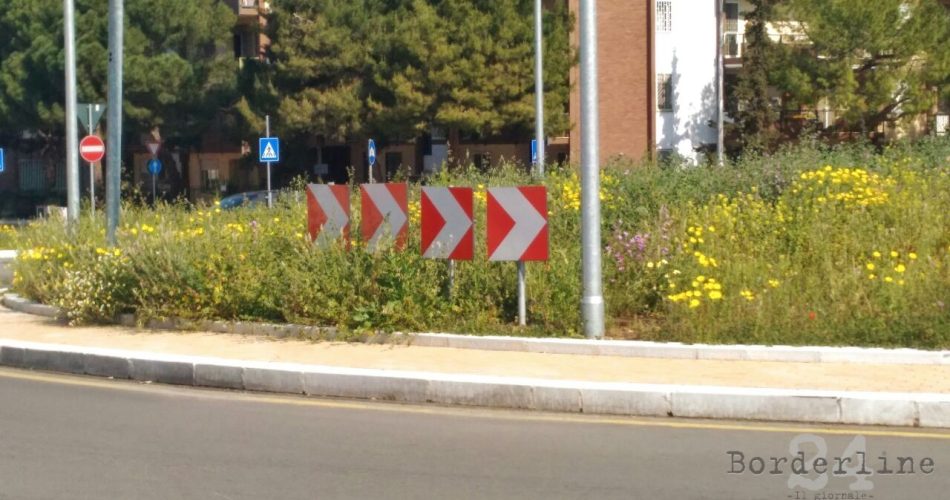 Foto Luca Desiderato