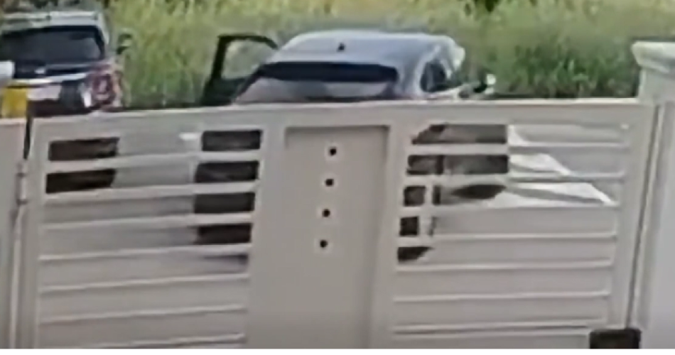 Suv giovinazzo