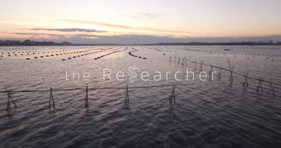 The Researcher The Researcher