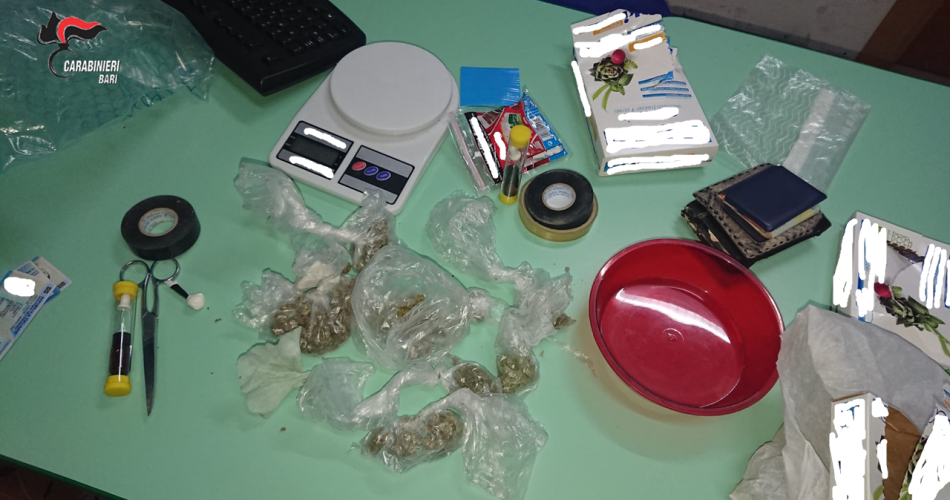 Triggiano un arresto per stupefacenti 2