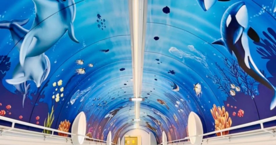 Tunnel sottomarino ospedale pediatrico