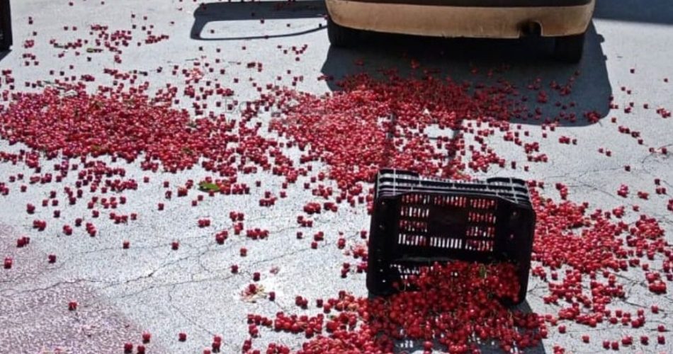 Un'istantanea della protesta che ha avuto luogo nei giorni scorsi a Casamassima