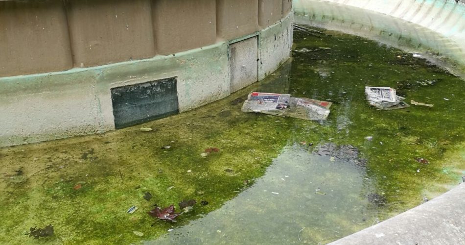 Fontana spenta in piazza Garibaldi