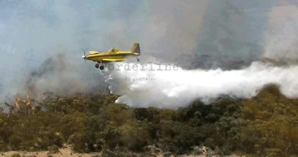 WhatsApp Image 2017-07-22 at 17.50.16