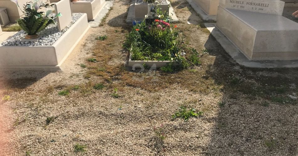 cimitero ceglie