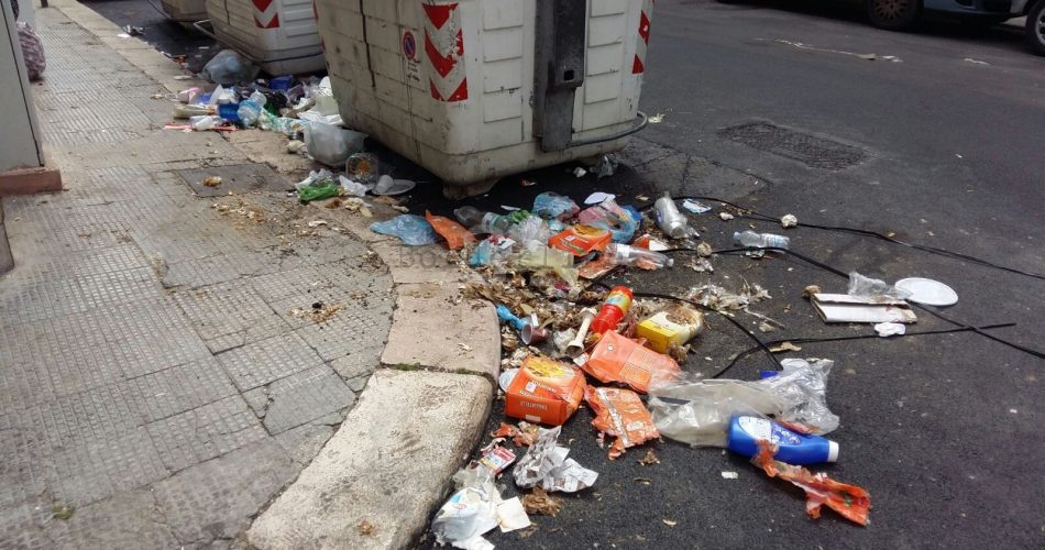 WhatsApp Image 2018-06-05 at 11.21.08