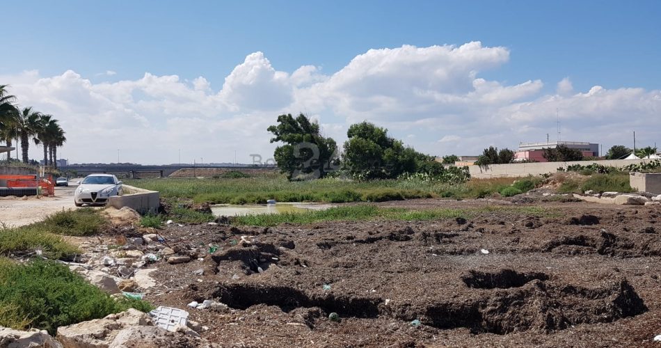 lama degrado san girolamo